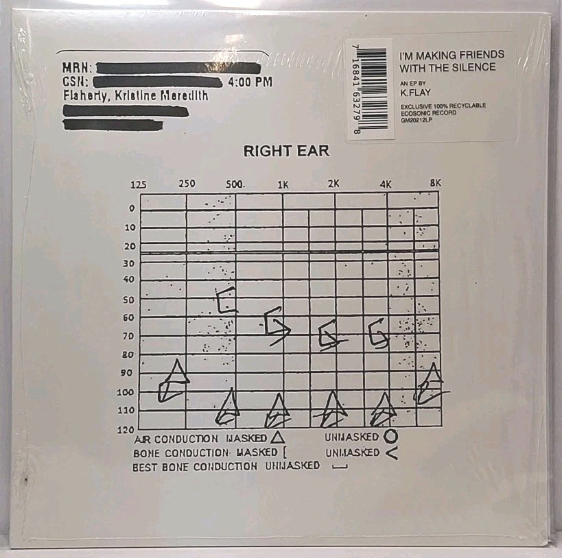 K. Flay I'm Making Friends With Silence Record [Exclusive Edition] NM/M Tested 