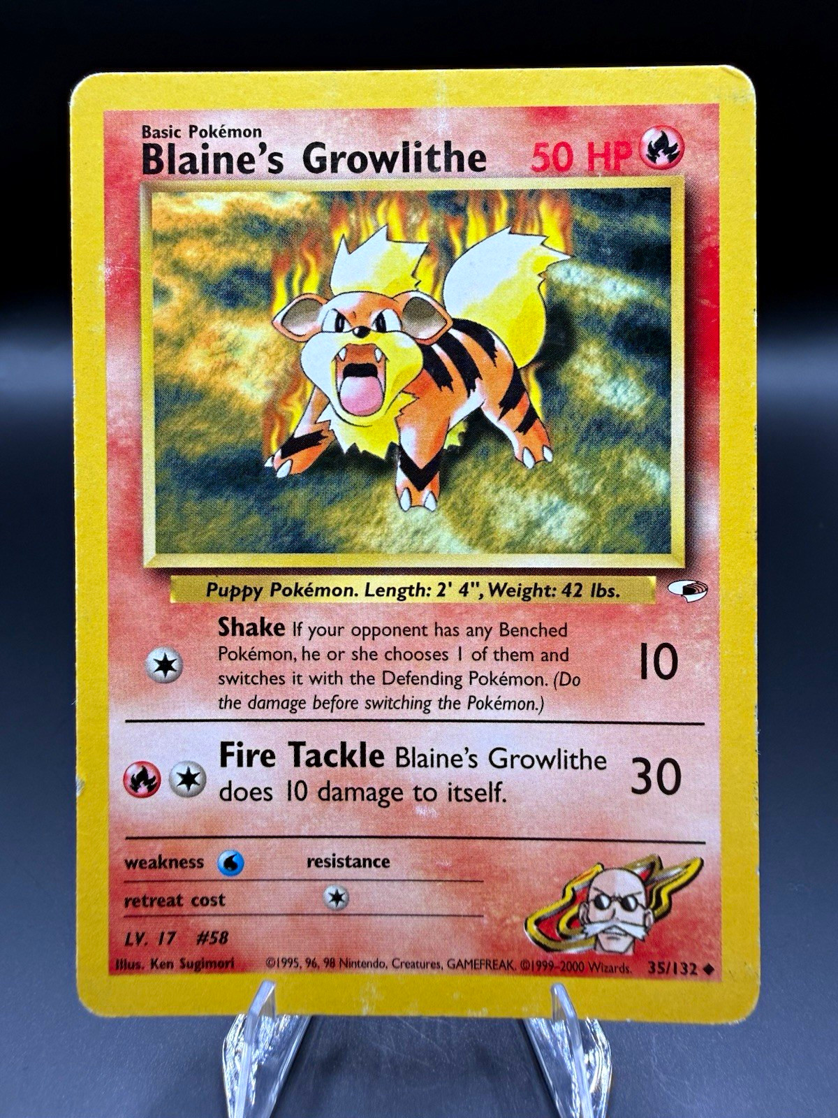 Pokémon TCG- Blaine's Growlithe 35/132 Gym Heroes 2000, Uncommon