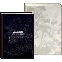 .HACK // G.U. ARCHIVI 02 NERO Perfect Art Works Fan Book PS2 J... modulo libro JP