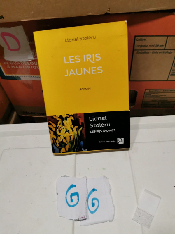 Les iris jaunes