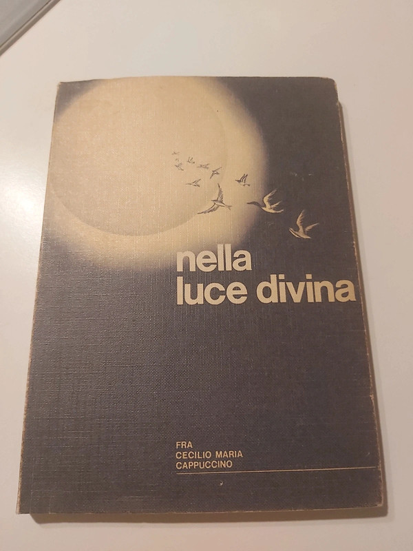 Libro "Nella luce divina" - Fra Cecilio Maria da Costa Serina