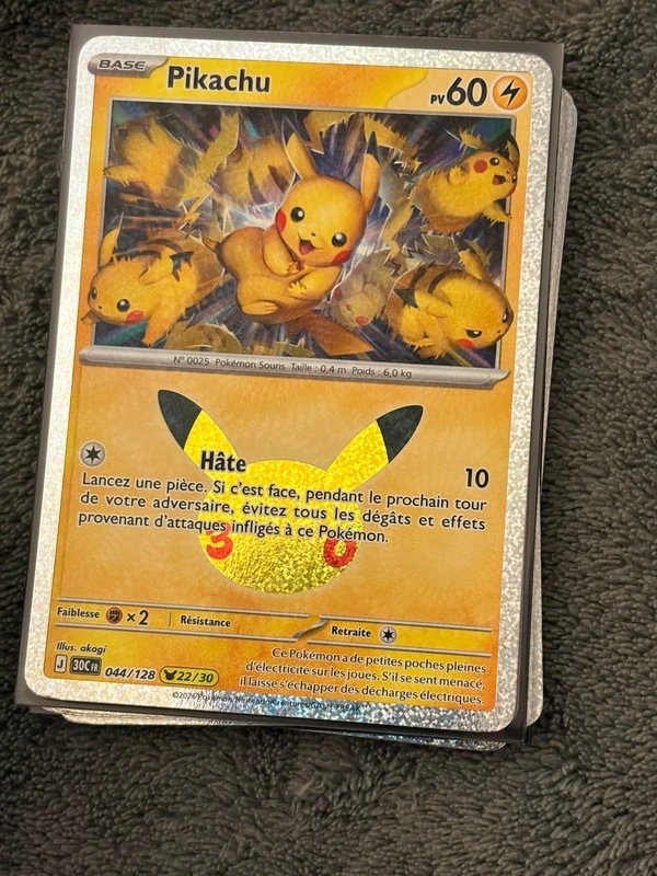 Pikachu 044