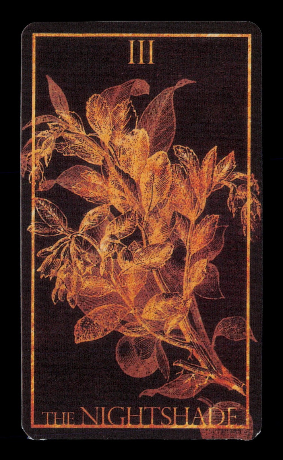 The Nightshade Dark Golden  Tarot Card Single