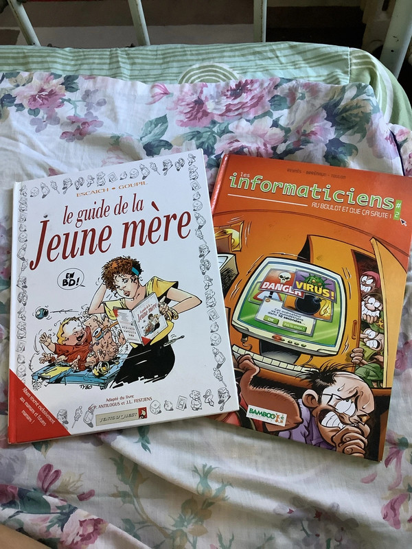 Lot de 2 BD humour : Les Informaticiens T2 + Le Guide de la Jeune Mère