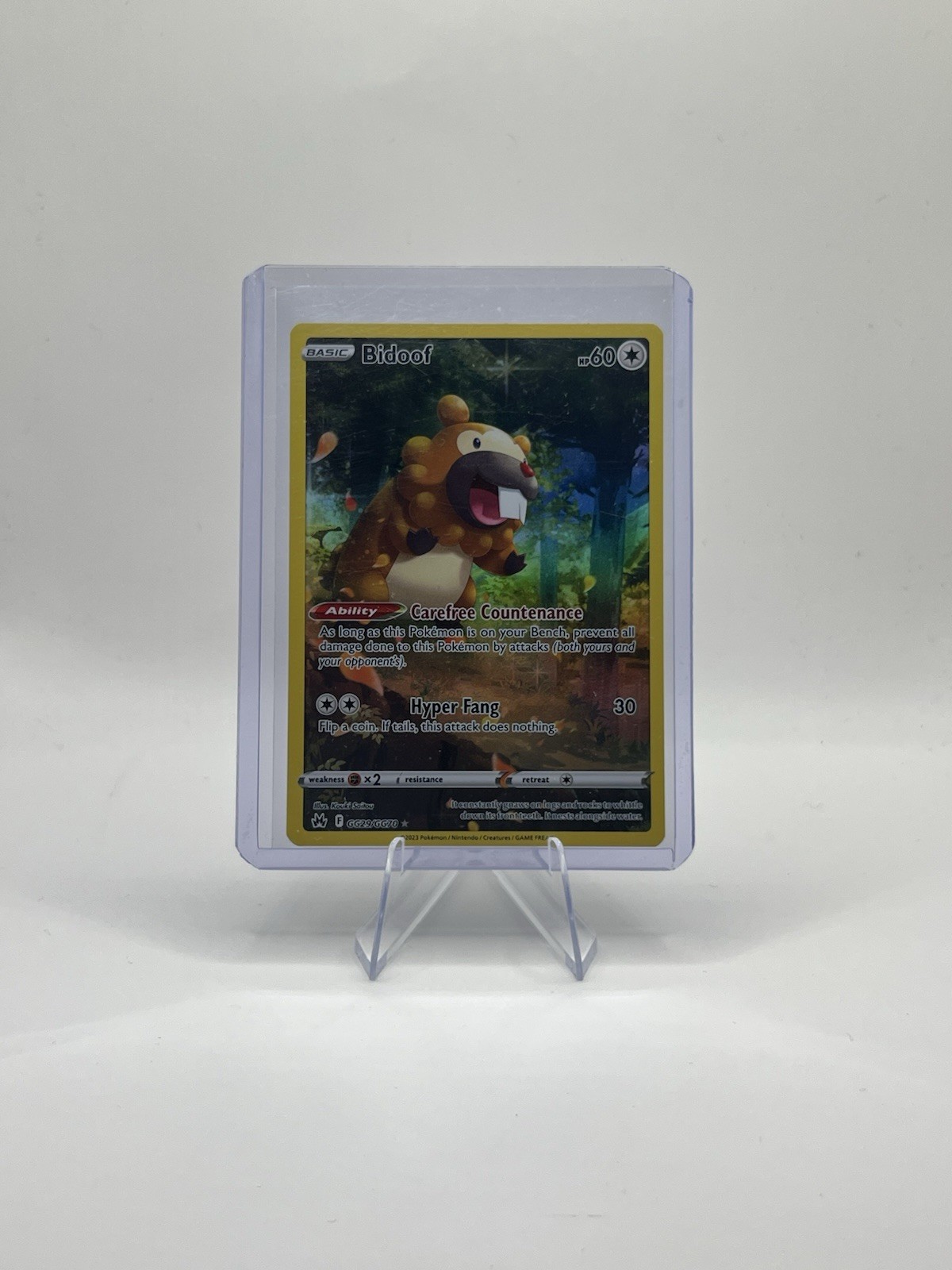 Pokémon TCG Bidoof Corona Zenith: Carta Holo Galleria Galariana GG29/GG70