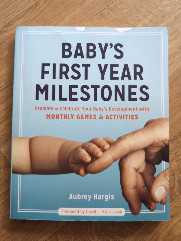 Baby's First Year Milestones - Aubrey Hargis