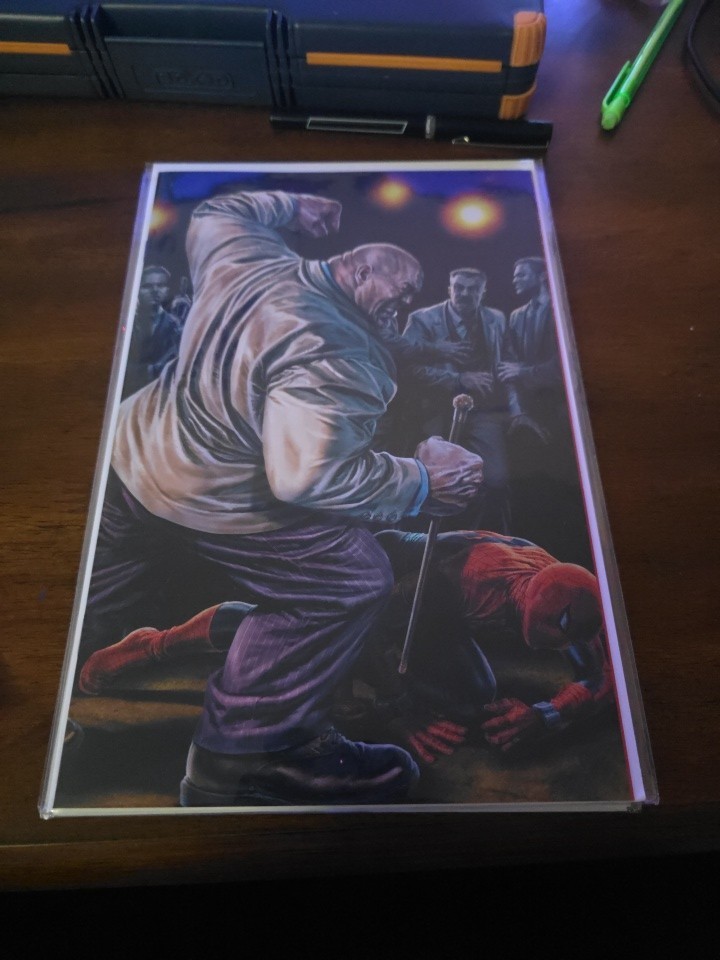 The Amazing Spider-Man #16 (980) Lee Bermejo Amazing Visions variante vergine