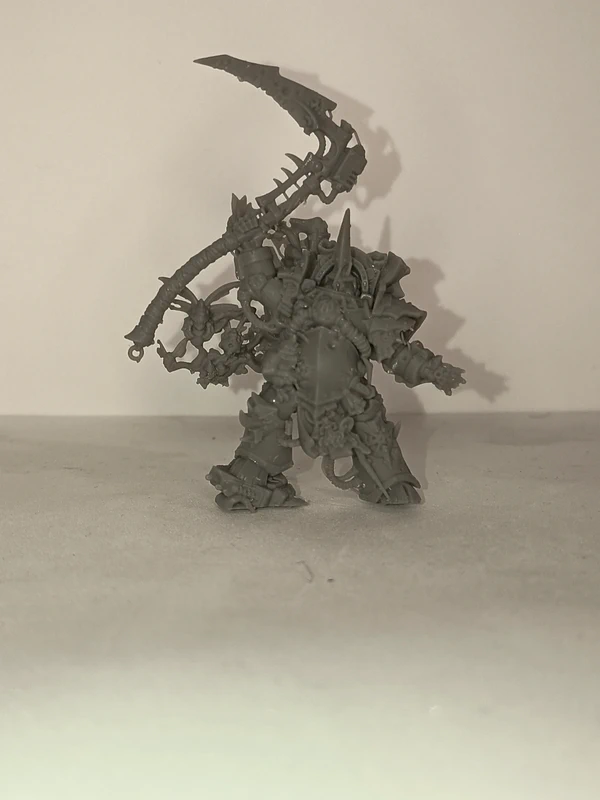 Typhus