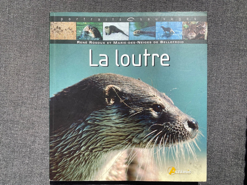 Livre de portraits sauvage « La loutre »