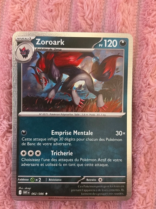 carte pokémon zoroark