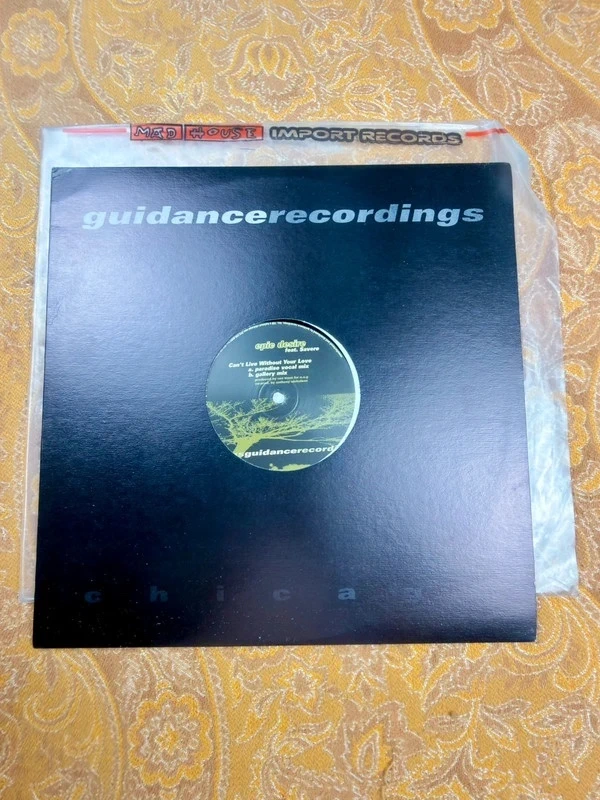 Guidance Recordings (1997) - Epic Desire feat. Savere – Can't Live Without Your Love (12" Vinilo)