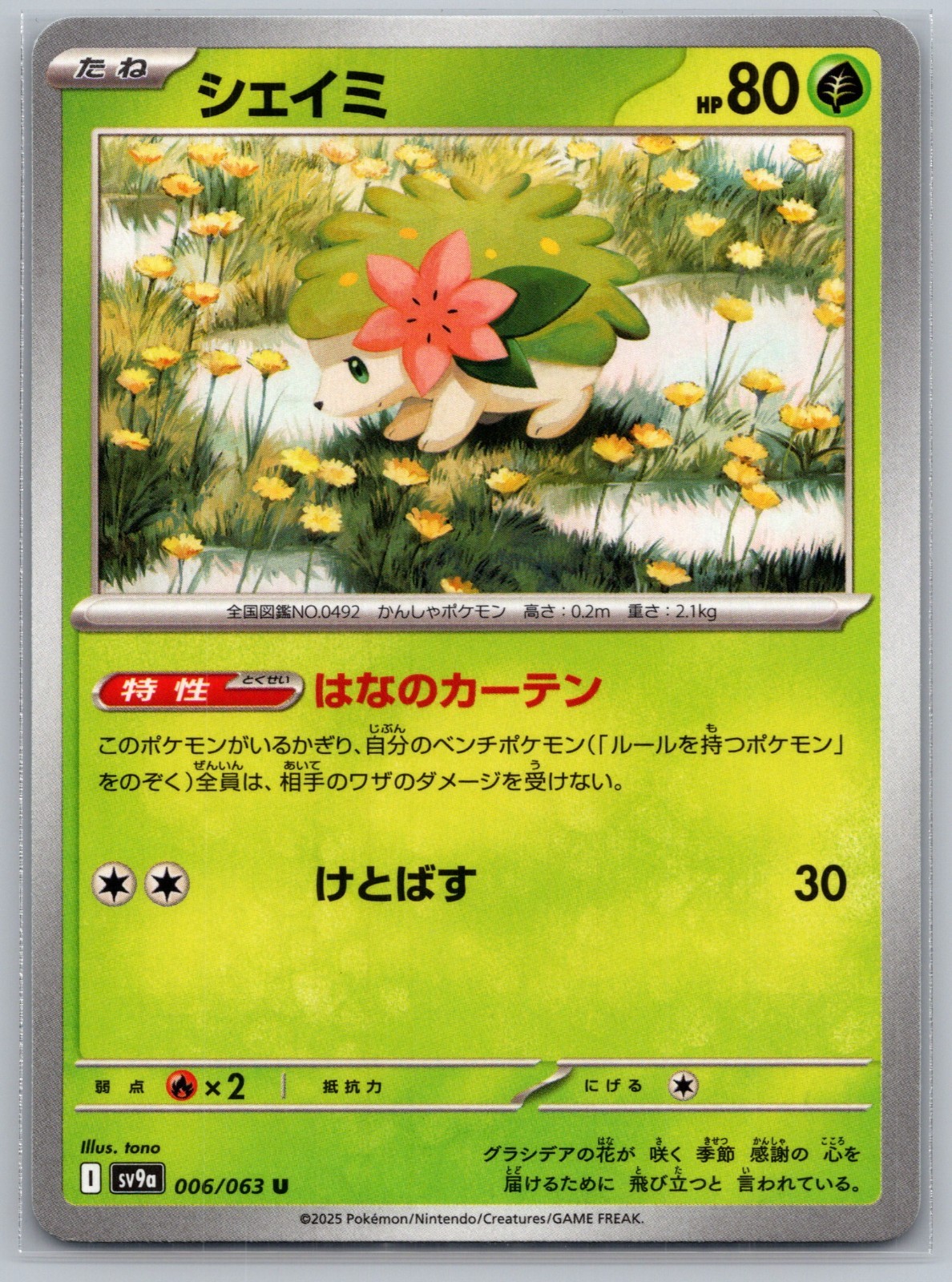 Shaymin~Cute Pokemon Cards ~ Grass-Type Pokemon Collection