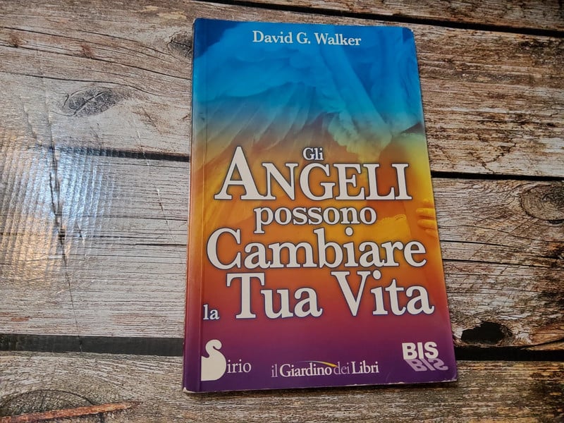 Libro Gli angeli possono cambiare la tua vita.