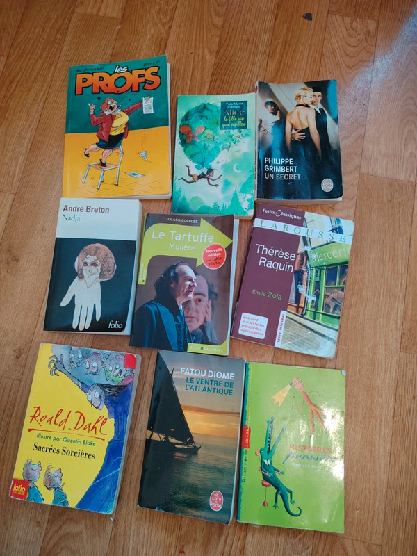 Lot de 9 Romans