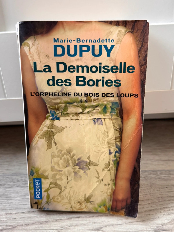 Livre La Demoiselle des Borie - Marie-Bernadette Dupuy