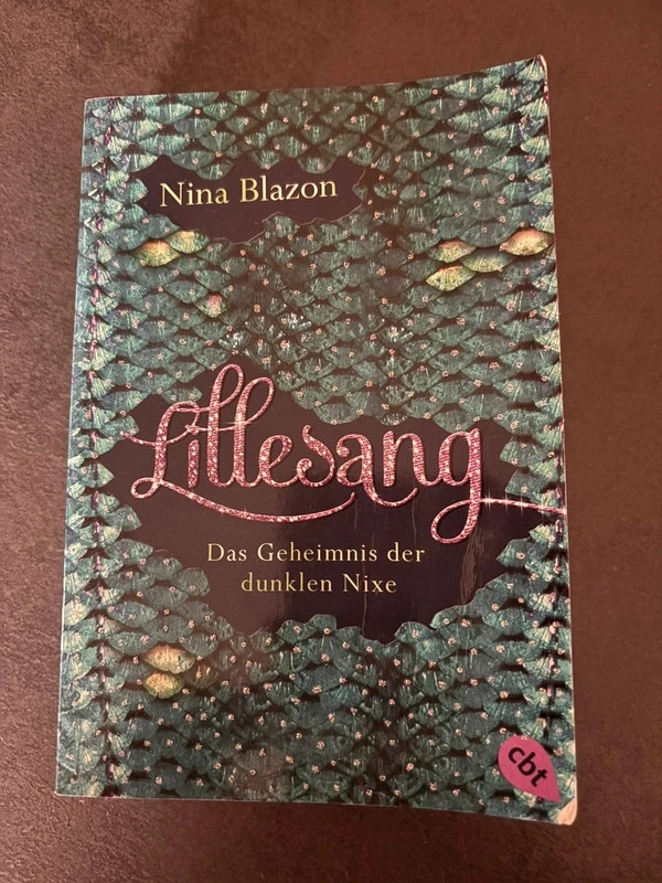 Lillesang Jugendbuch Nina Blazon Taschenbuch Nixen