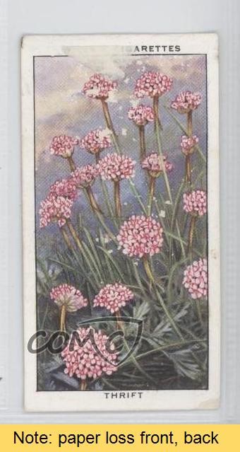 1938 Wills The Sea-Shore Tobacco Thrift #48 READ 0a1