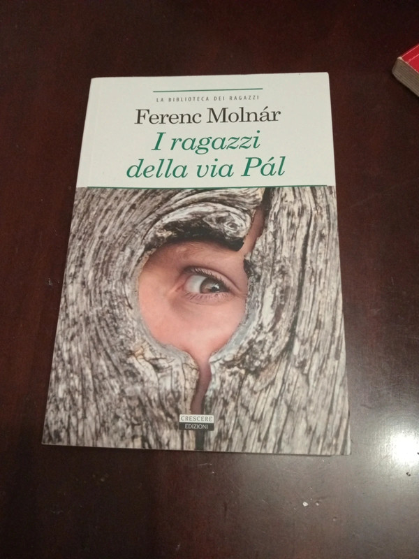 I ragazzi della via pal