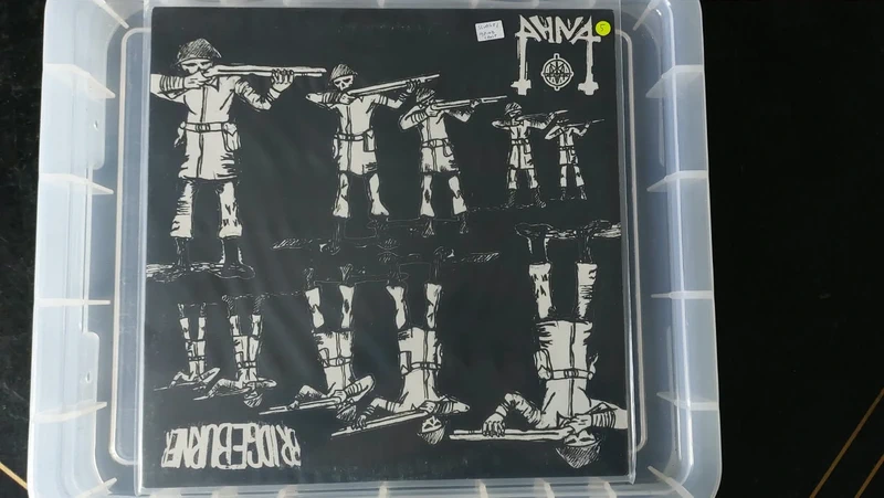AHNA / Bridgeburner split
