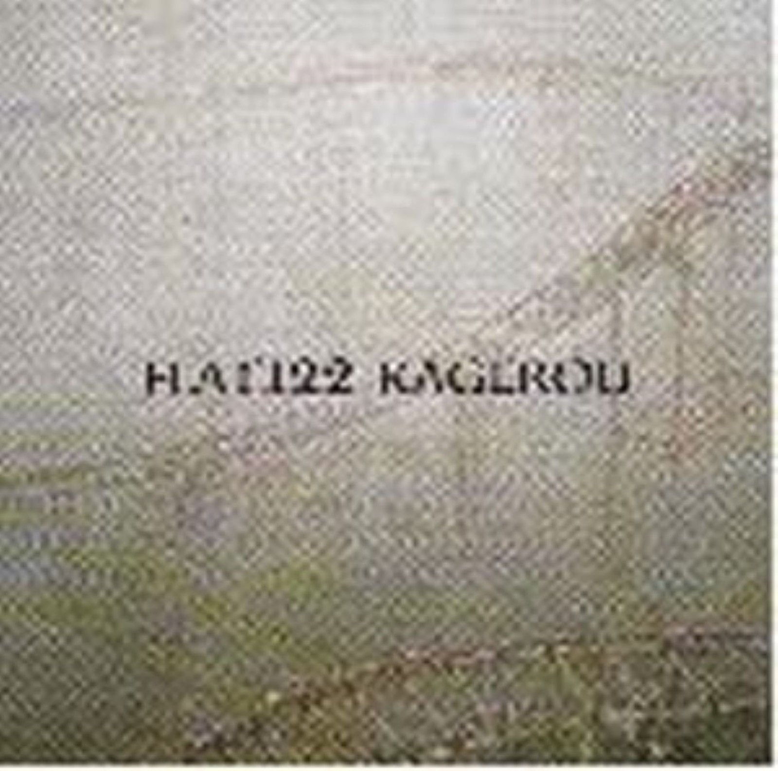 Flat 122 - Kagerou                         (neu)