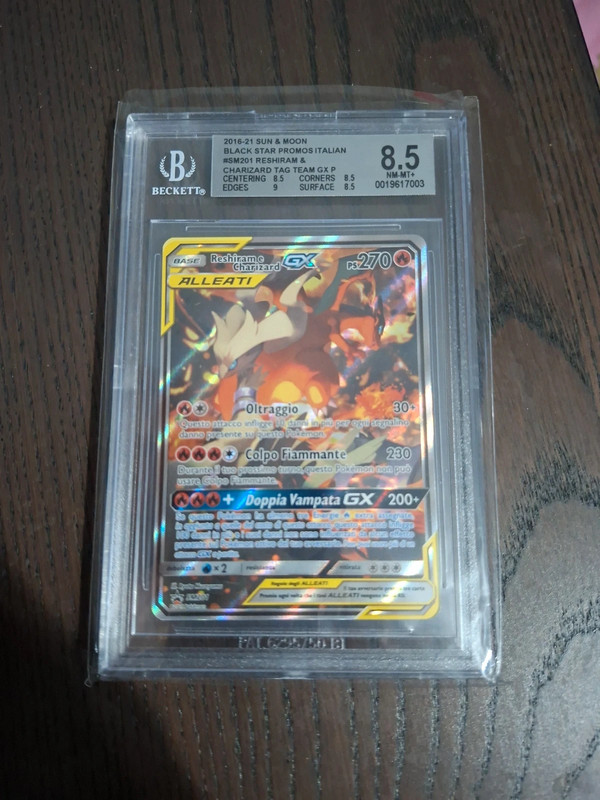 Reshiram & Charizard