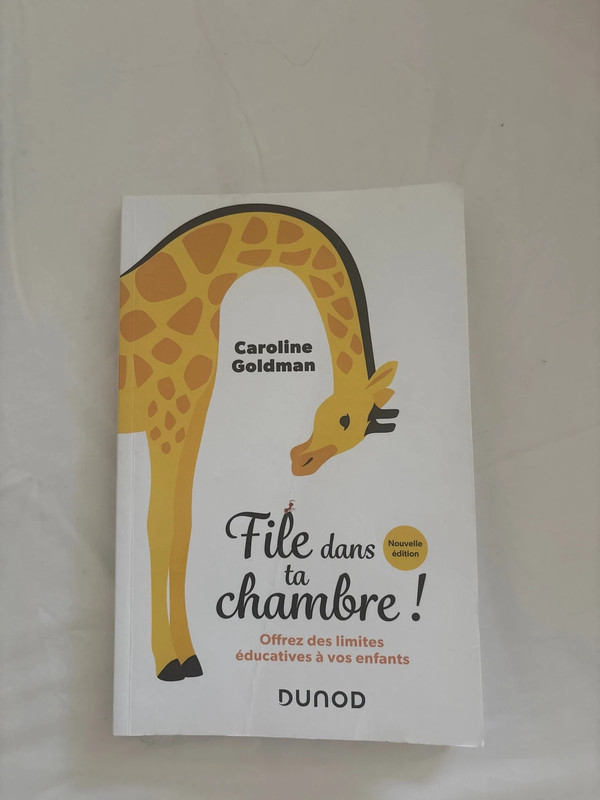 Livre Caroline Goldman. File dans ta chambre