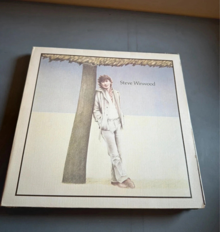 Steve Winwood Lp Vinyl Schallplatte