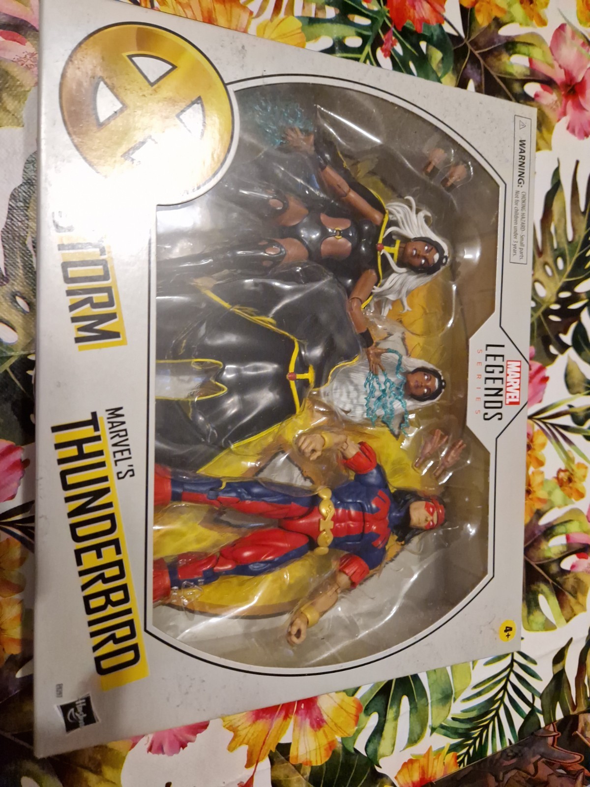 Marvel Legends Series Storm & Marvel's Thunderbird