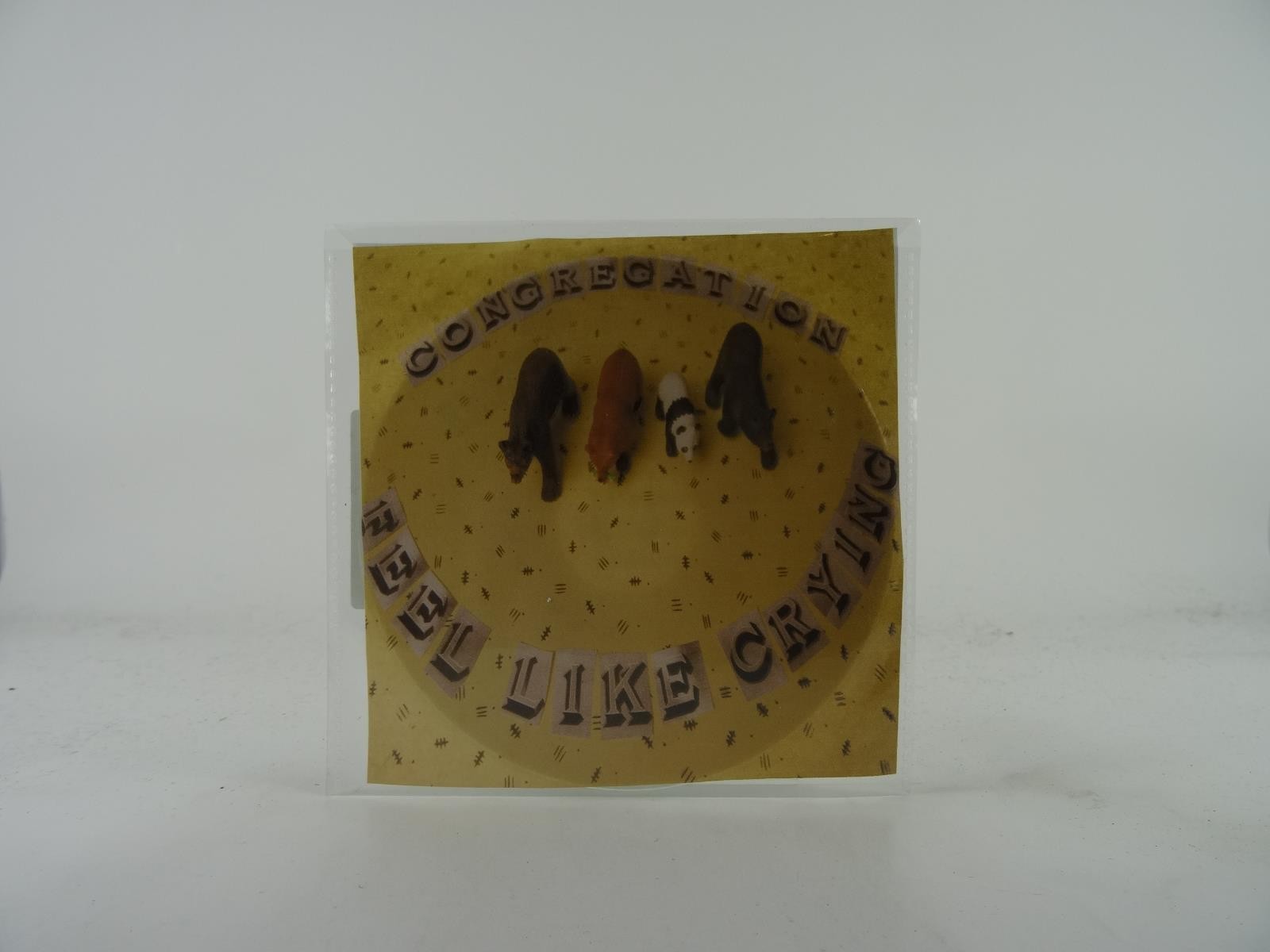 CONGREGATION FEEL LIKE CRYING (A29) 1 Track Promo CD Single plus Picture Sleeve 