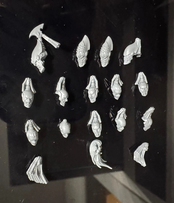 Aeldari Kabalite Warriors Warhammer 40k Heads Bits