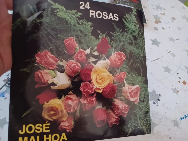 Vinil José Malhoa - 24 rosas