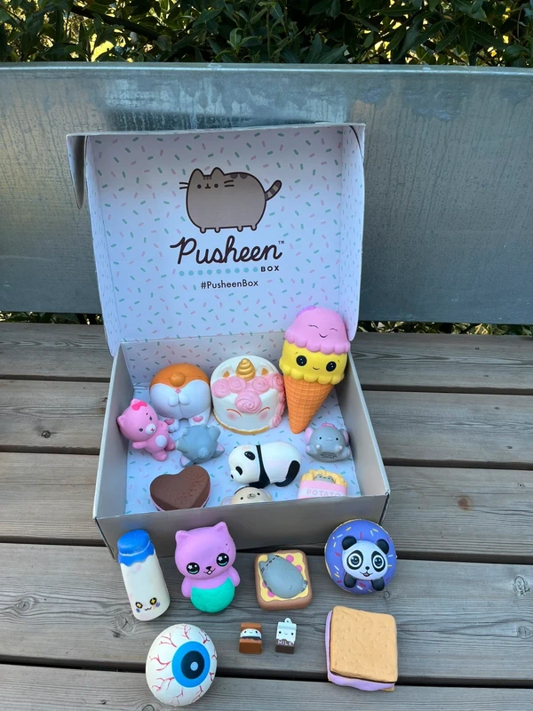 Lot de Squishies boîte Pusheen Yum