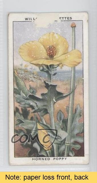 1938 Wills The Sea-Shore Tobacco Horned Poppy #47 READ 0a1