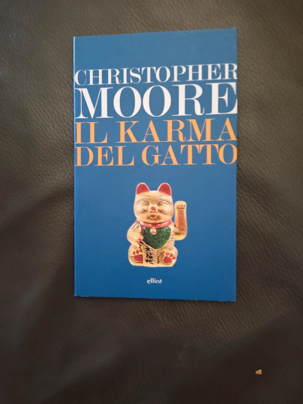 Il Karma del Gatto