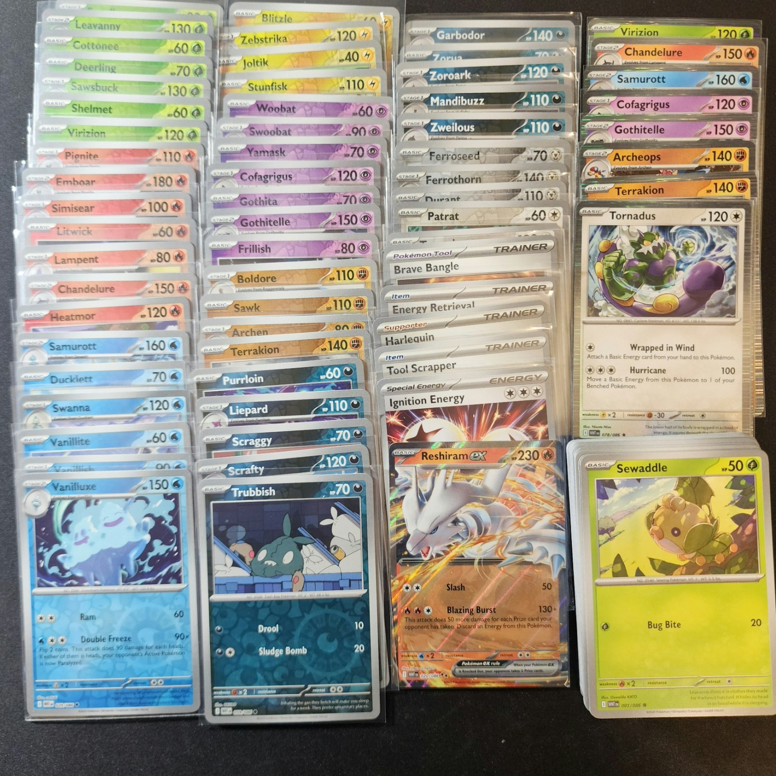 Pokémon Tcg White Flare Master Set Lot 128 Cards 1 ex 9 Holo 55 Reverse Holo NM