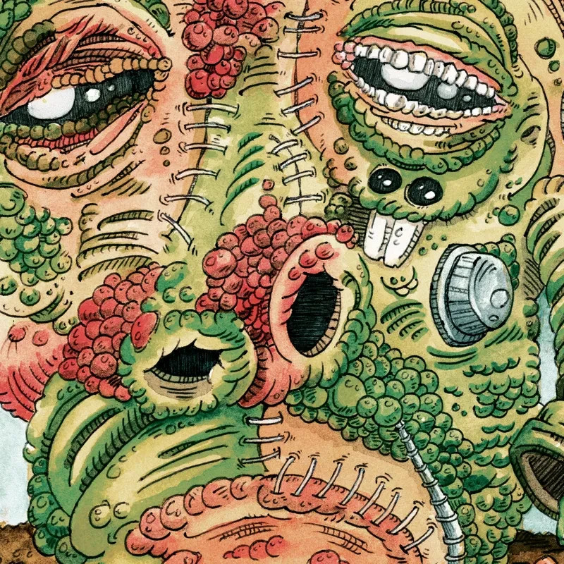 Ween "Shinola, Vol. 2" LP Brown Vinyl Presale