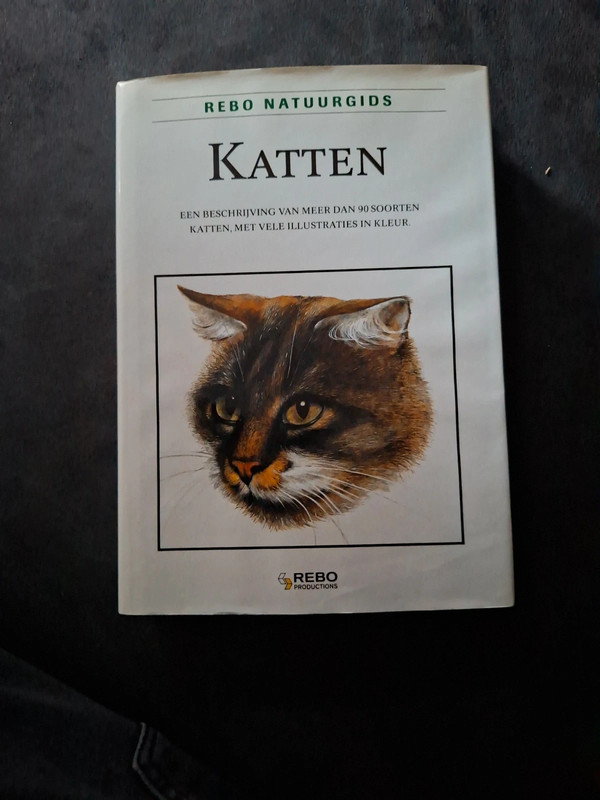 Katten (rebo produtions)