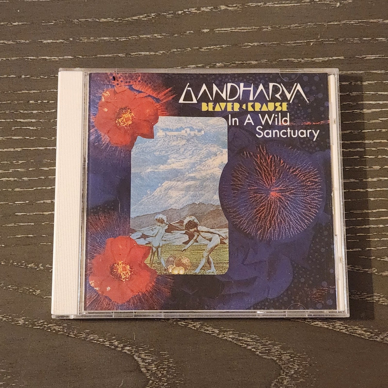 Beaver & Krause In a Wild Sanctuary / Gandharva (CD, 1994)
