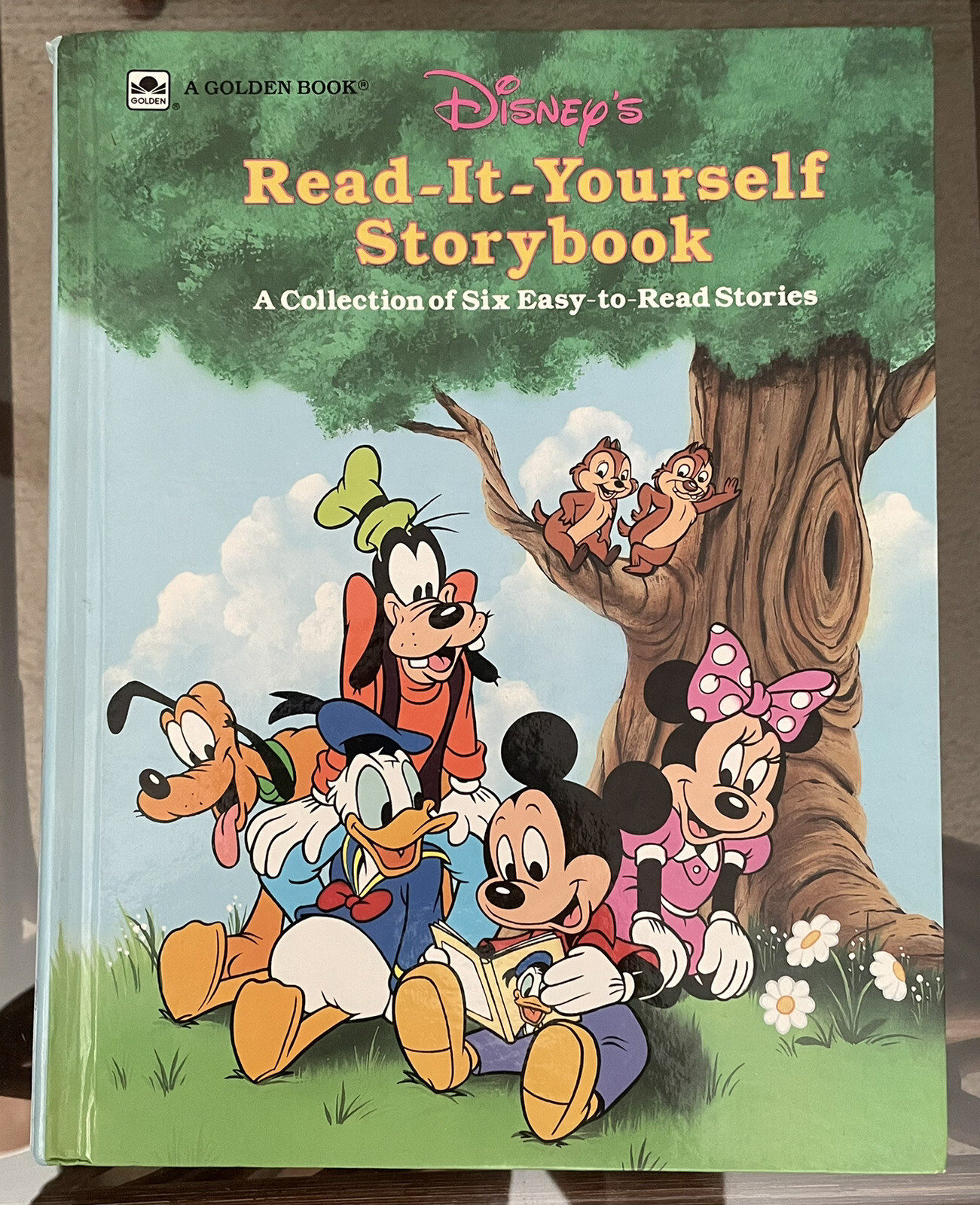 Lotto di 5 libri per bambini vintage Walt Disney rilegati