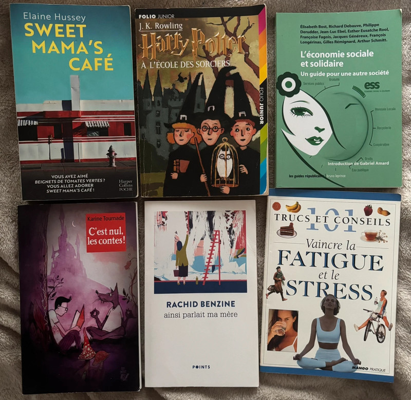 lot de 6 livres en français
