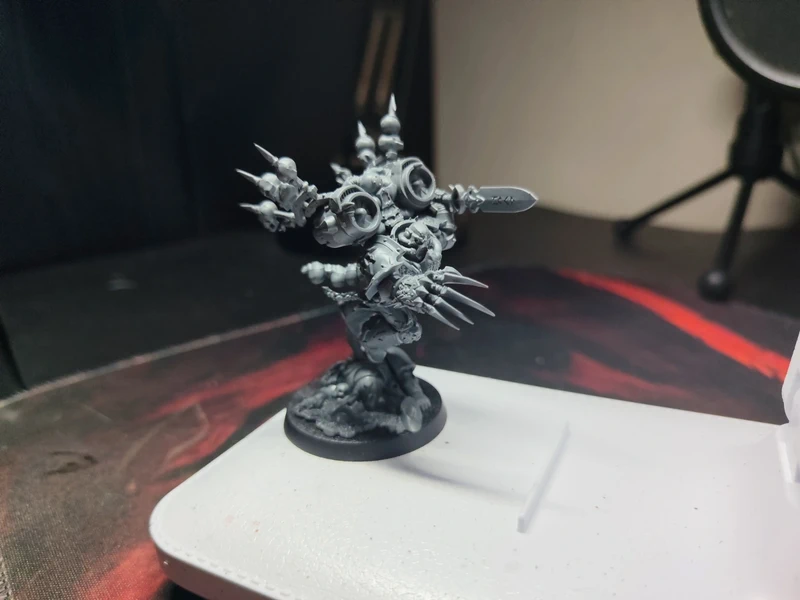 Haarkem Worldclaimer CSM