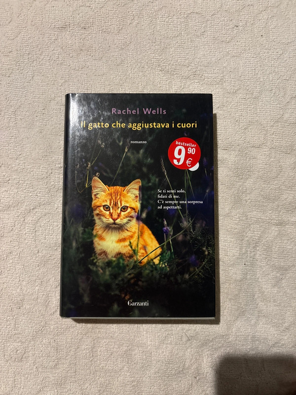 Libro il gatto che aggiustava i cuori