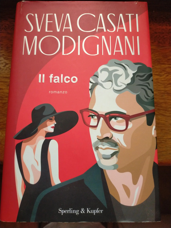 Libro Sveva casati Modigliani il falco
