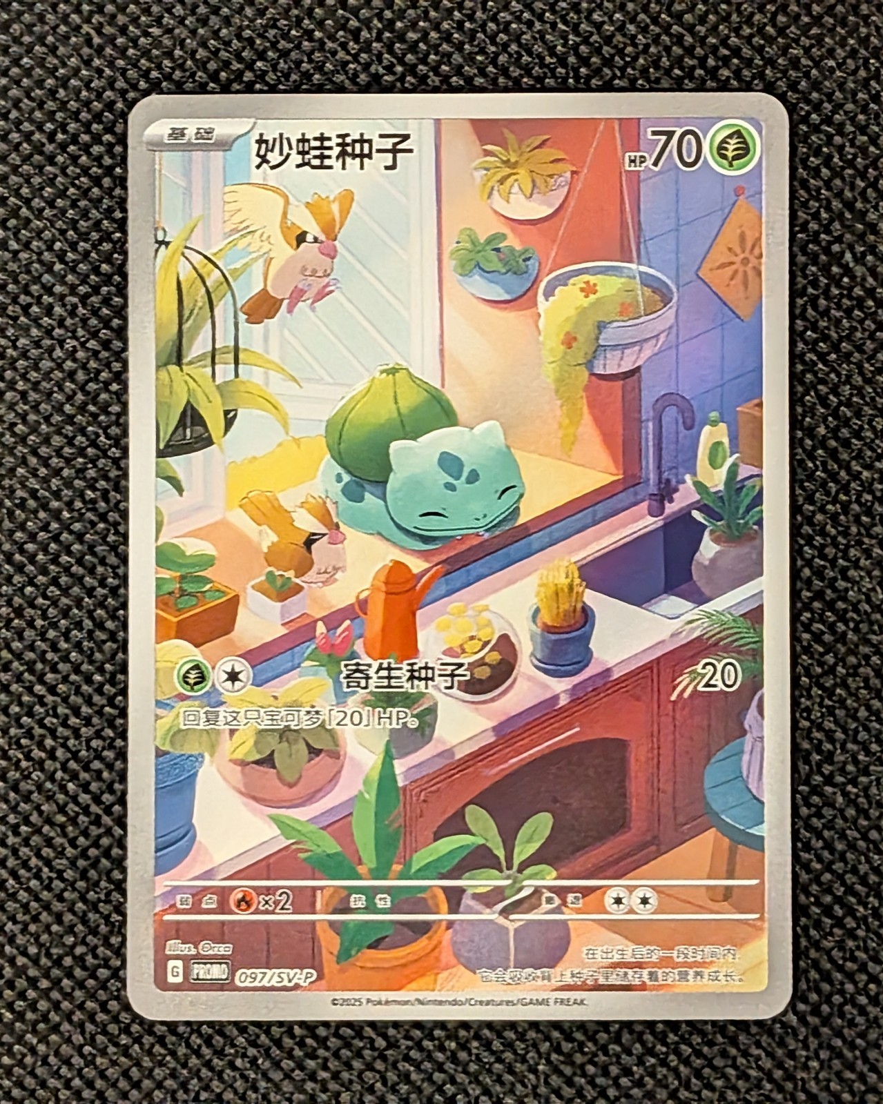 Pokemon Chinese TCG PR-ZLMW Bulbasaur SV-P-097/SV-P Promo NM