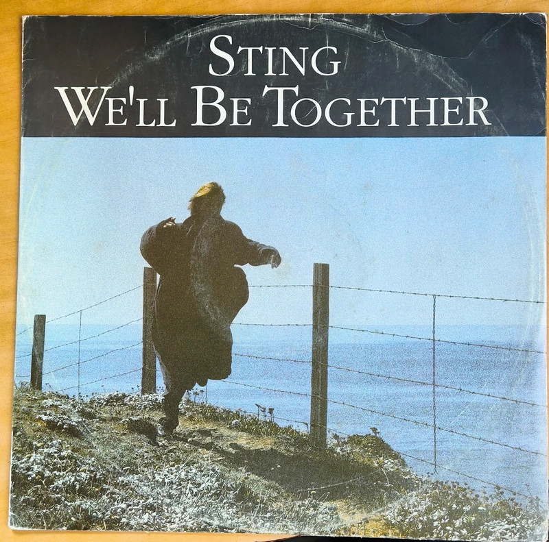 Vinile di sting