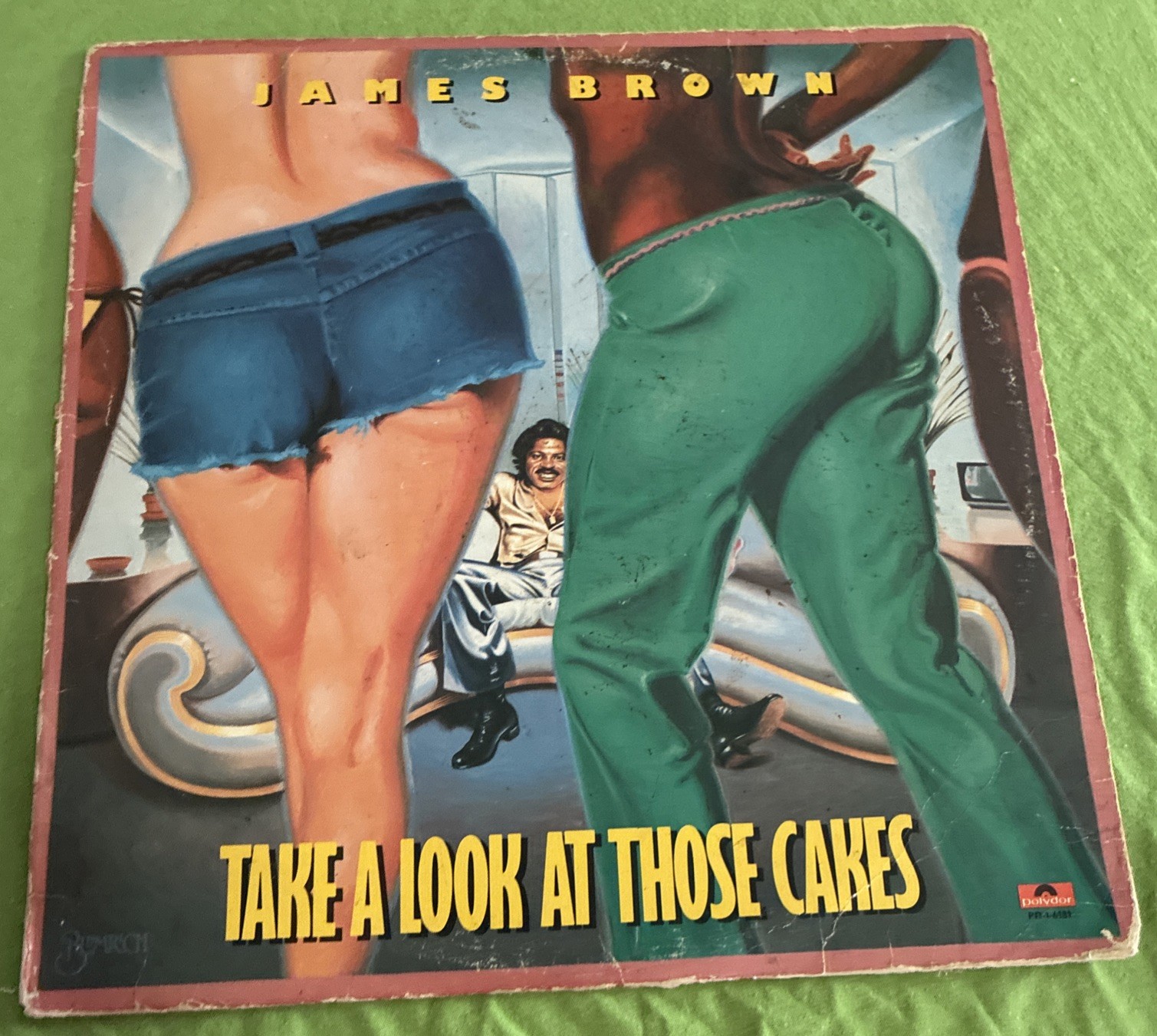Take a Look at Those Cakes by James Brown Vinyl LP Record