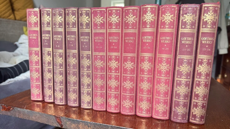 Goethe doppelbänder Gesamtwerke antik