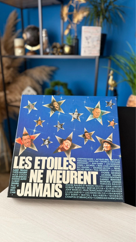 Vinyles « les étoiles ne meurent jamais »