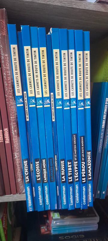 Collection Livre Carnets de route de Tintin