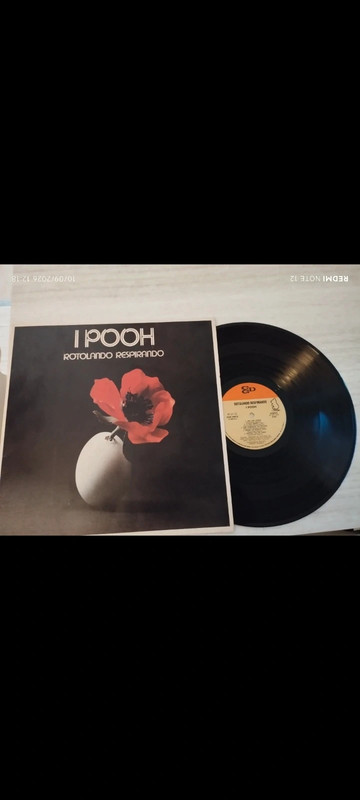 I Pooh vinile 33 giri